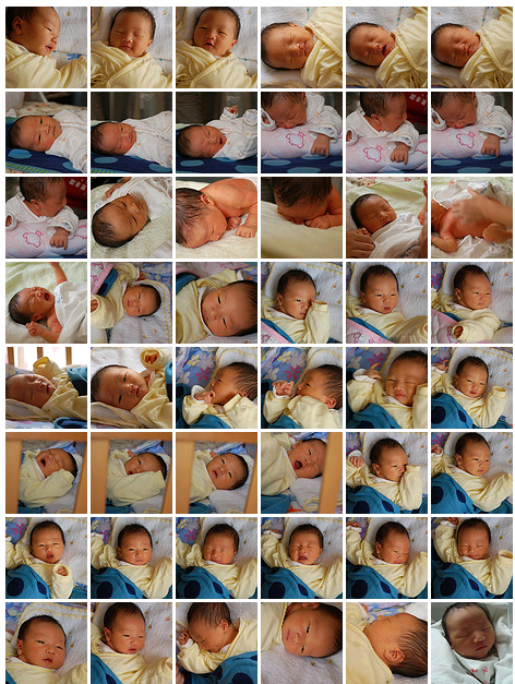 shanghai-baby-galary.png