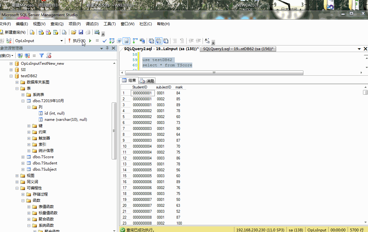 Sqlserver 动态sql语句 和 use 关键字_sqlserver use-CSDN博客
