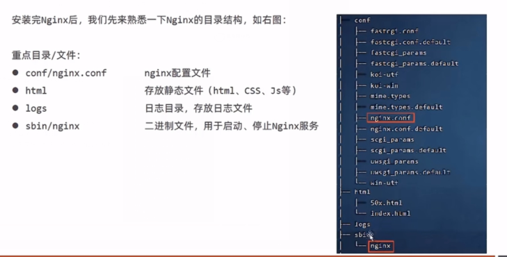 image-20220807170136900