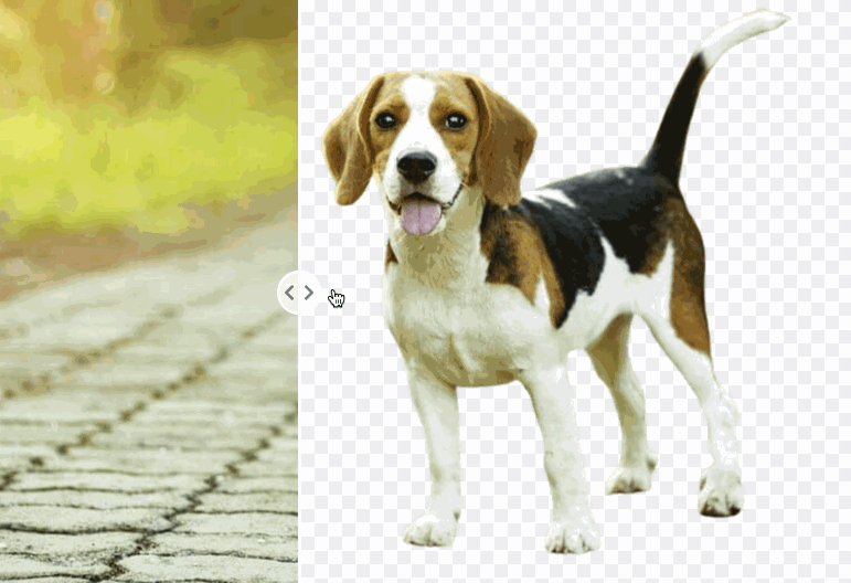 befed9e415f23b20c189746a64c416df.gif