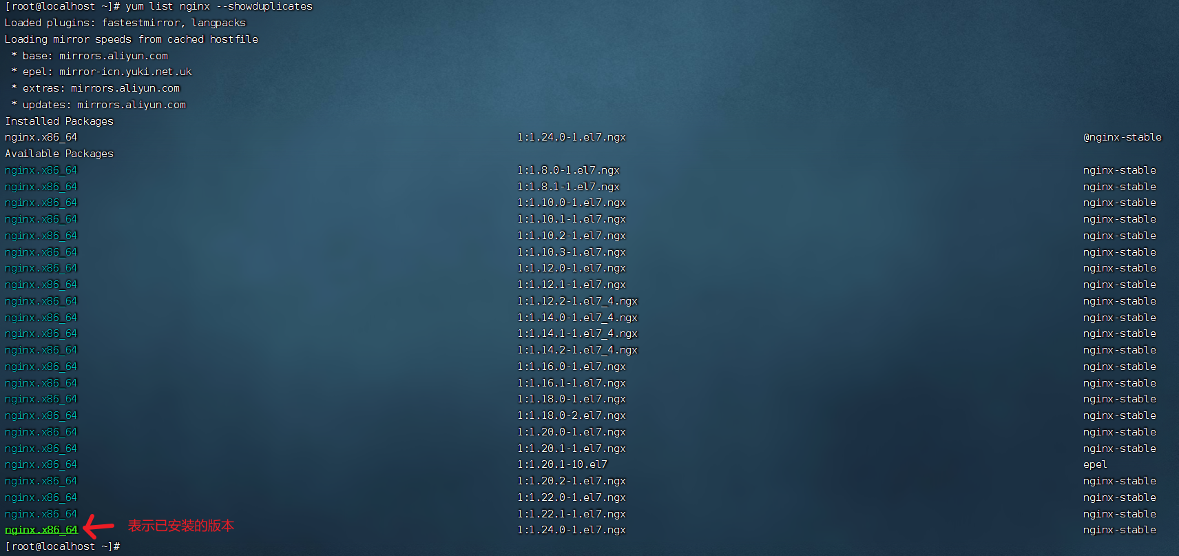 image-20230613111045703