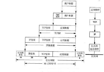 TCP:报头