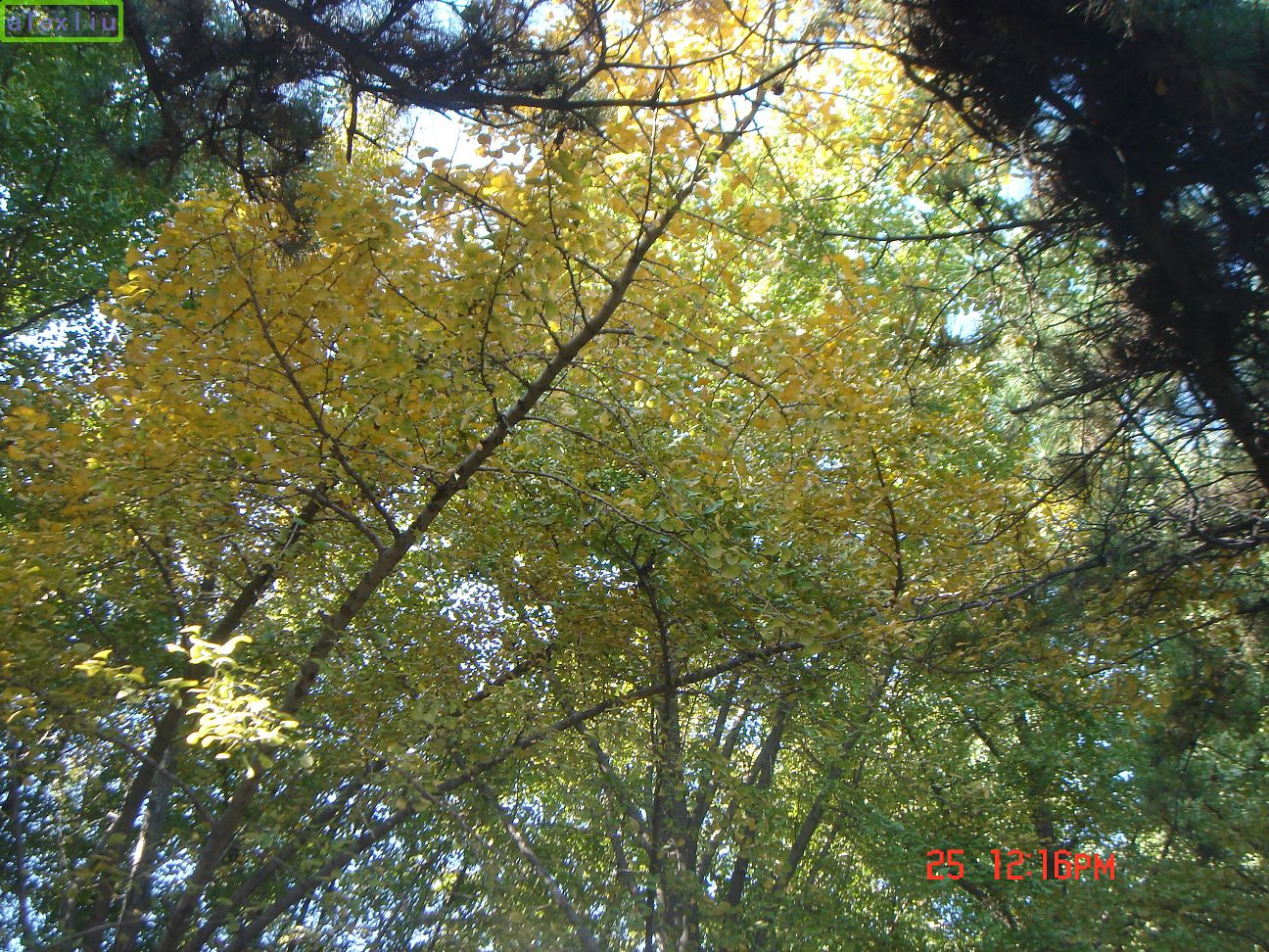 2008102609481797.jpg