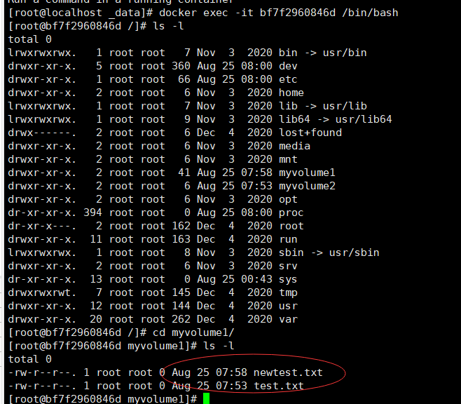 image-20210825160321407