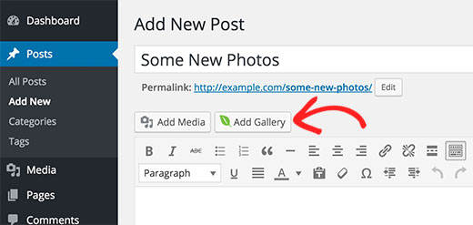 Envira Gallery button in post editor