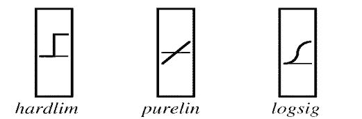 2009062410524329.jpg