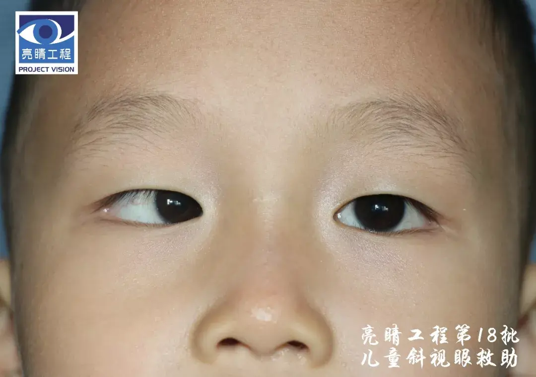 2530112-b3bf3d1d94aef573.png
