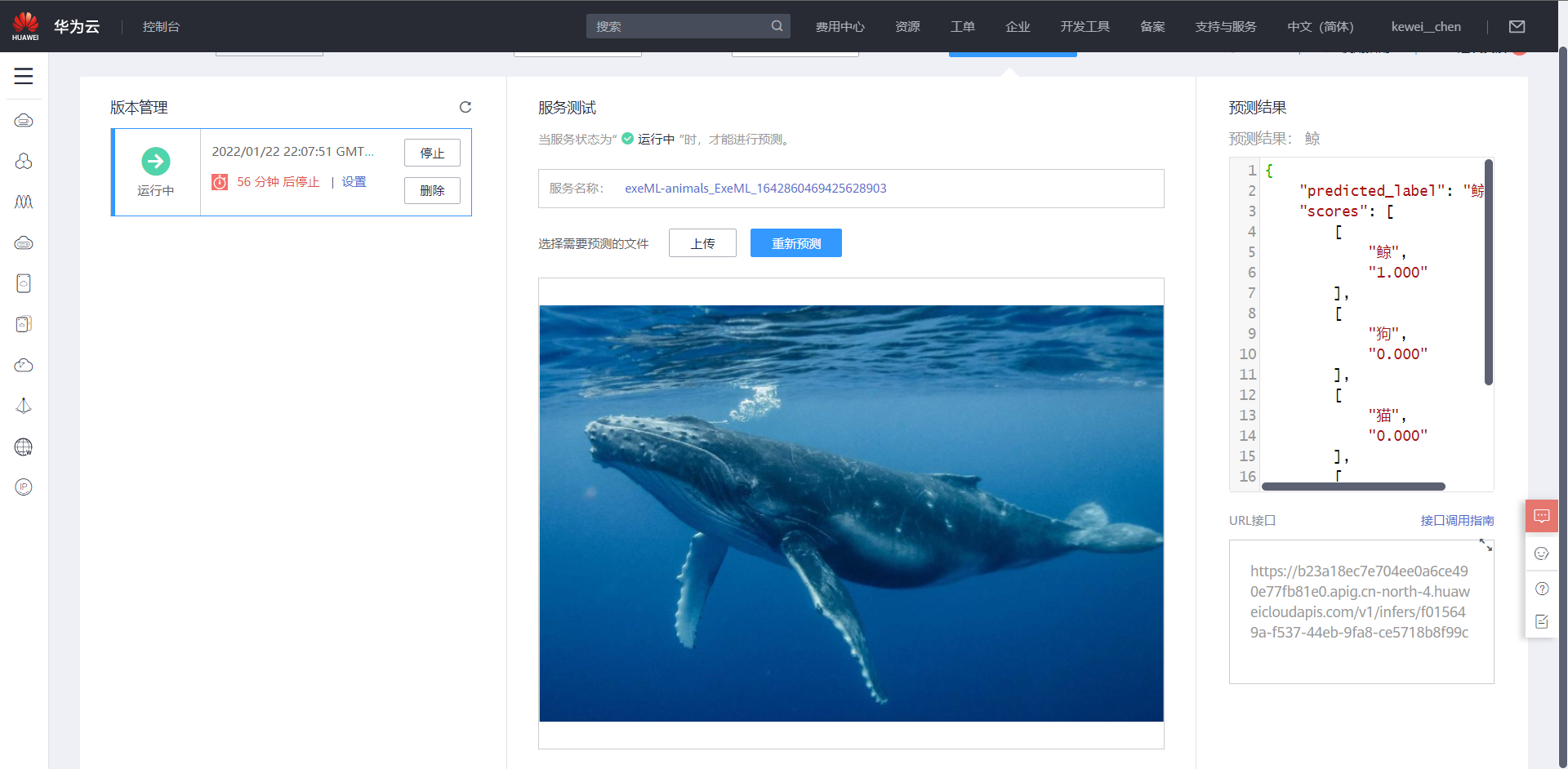 image-20220122221342428