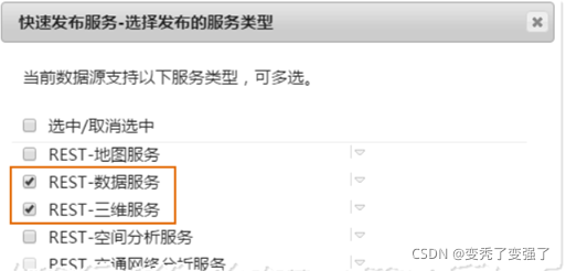 图 10：勾选三维服务和数据服务