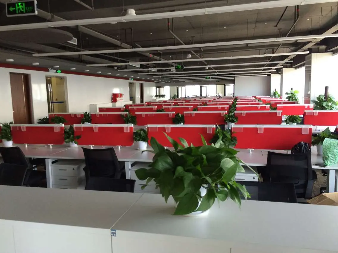 公司的新办公室