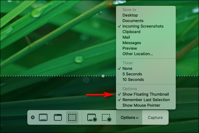 Uncheck Show Floating Thumbnail in screenshot options on a Mac