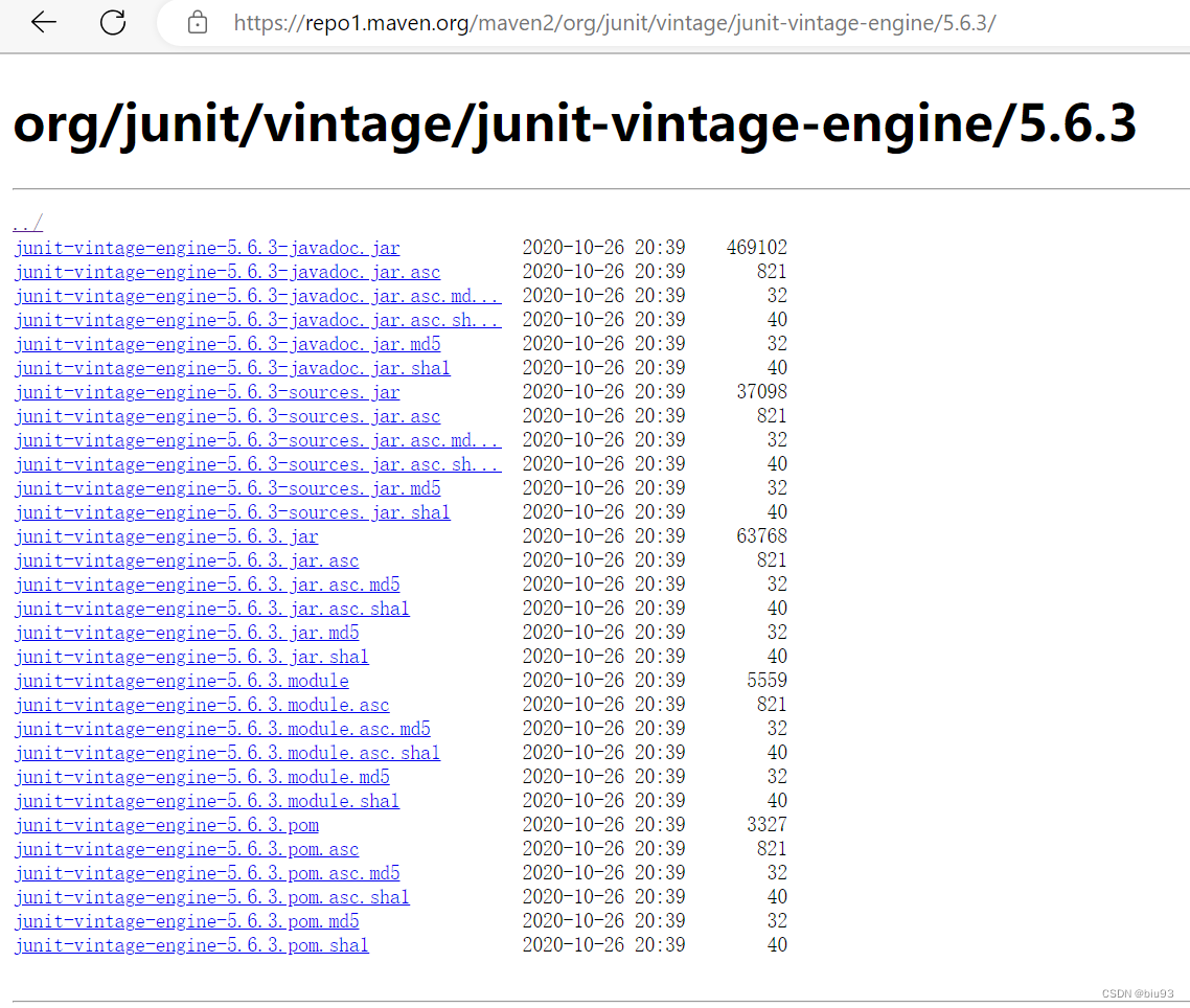 java: 读取mvn_repo\org\junit\vintage\junit-vintage-engine\5.6.3\junit ...