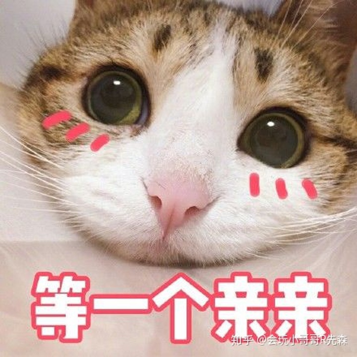 68a2e10d7985ea36c6cf27f55c2933c6.png