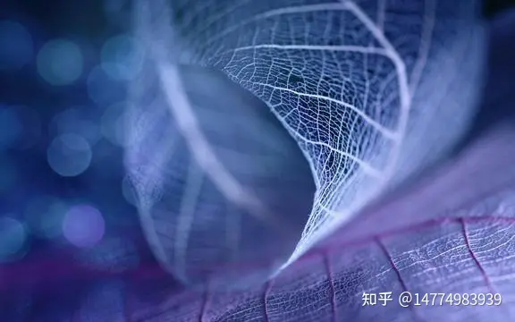 研发技术评审及项目有哪些？