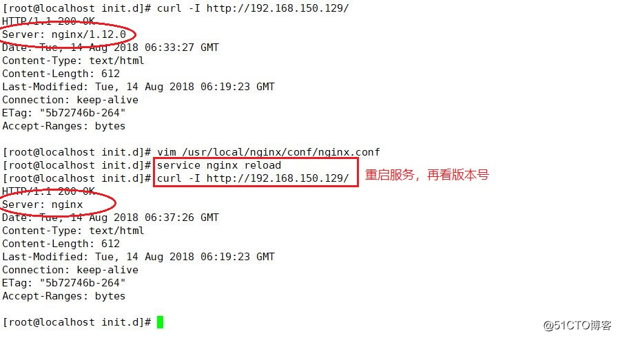 Nginx的使用