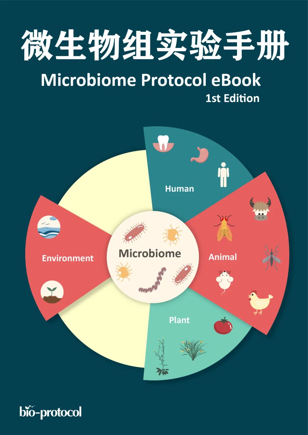 粪便常规仪器怎么用MPB：川农罗玉衡组-​​猪肠道食糜和血清中短链脂肪酸浓度的测定_https://www.jmylbn.com_新闻资讯_第1张