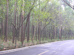 P1300006.JPG