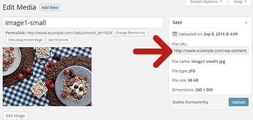 Copying the image file URL in WordPress