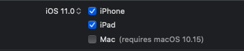 Xcode11 Ipadtomac