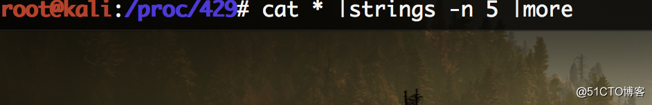 linux应急取证学习（更新中）