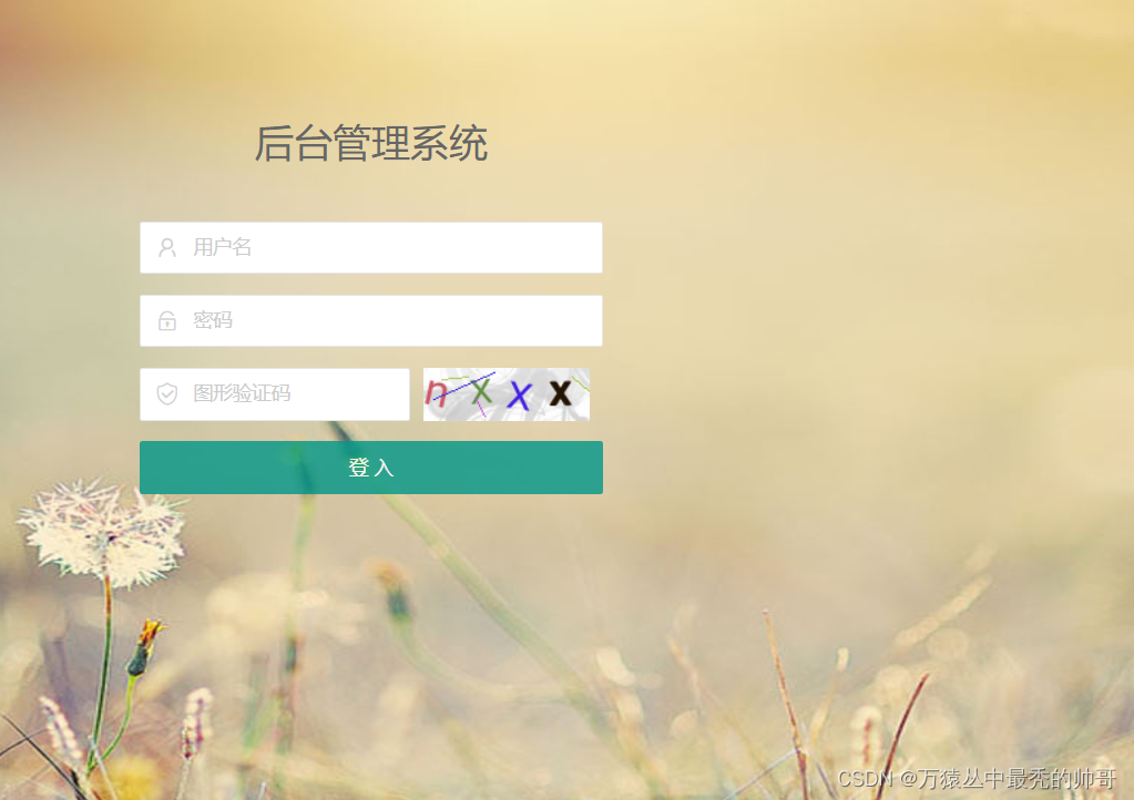 在这里插入图片描述