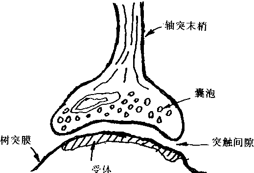 2009041013441627.gif