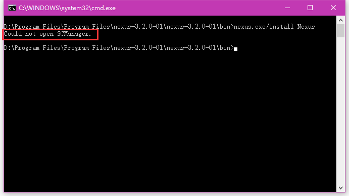 nexusInstallErr