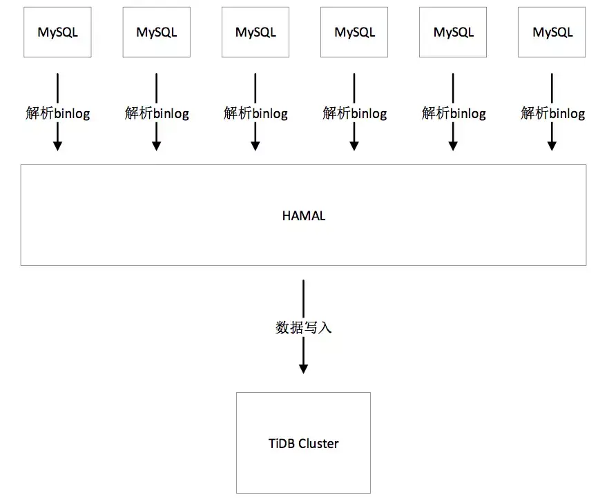 1-structure.png