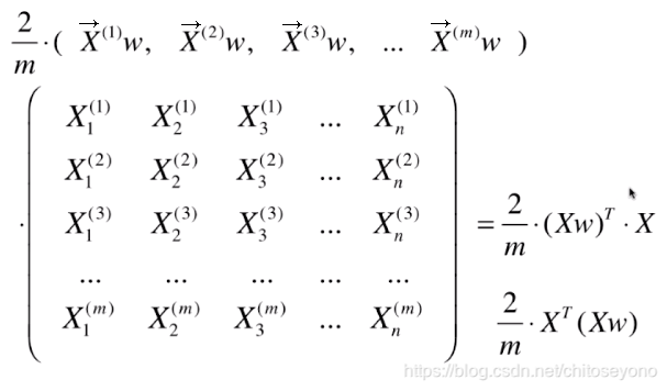 向量化