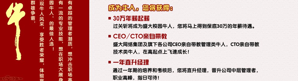 我看盛大 <wbr>[以下内容仅为个人观点]