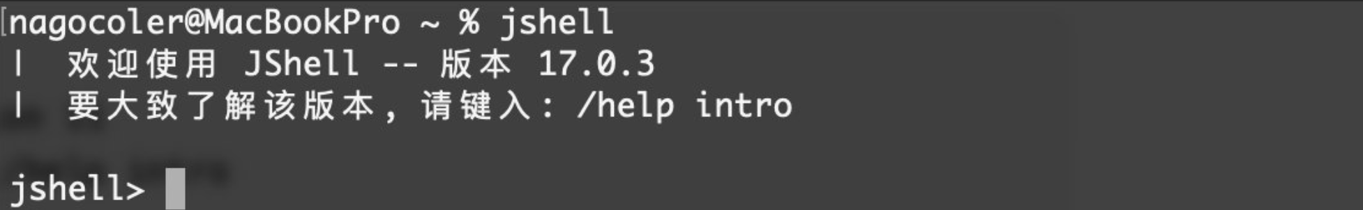 image-20230306180136996