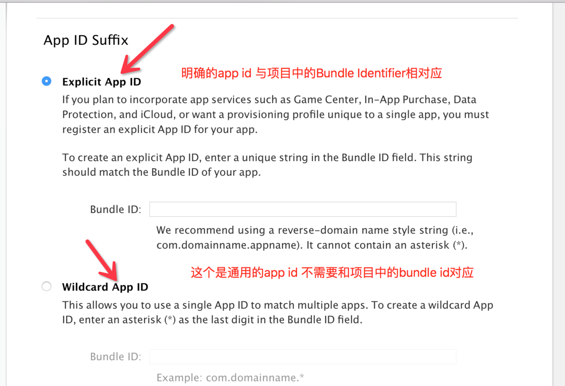 AppRealTest6