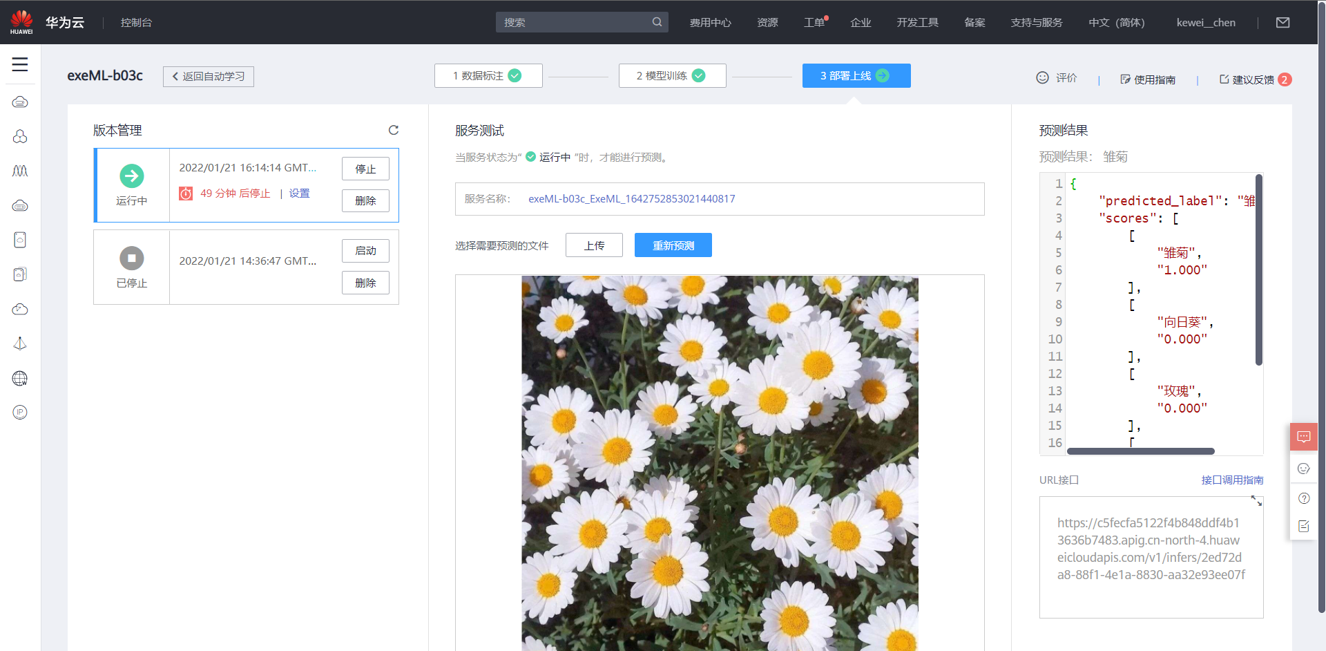 image-20220121162604916