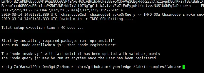 ./startFabric.sh  node