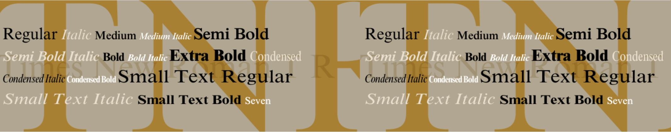 Times New Roman