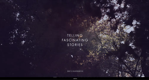 View the website