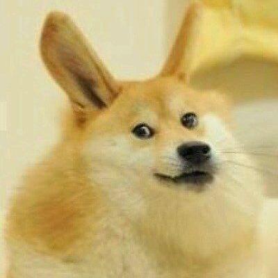 图灵的烟头