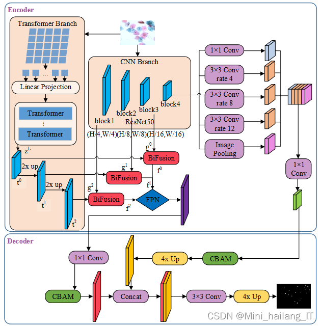 毕业设计:深度学习技术驱动的细胞图像分割方法算法实现