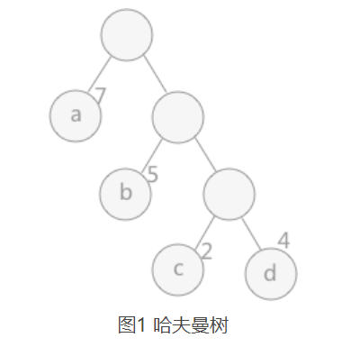image-20220215163349169