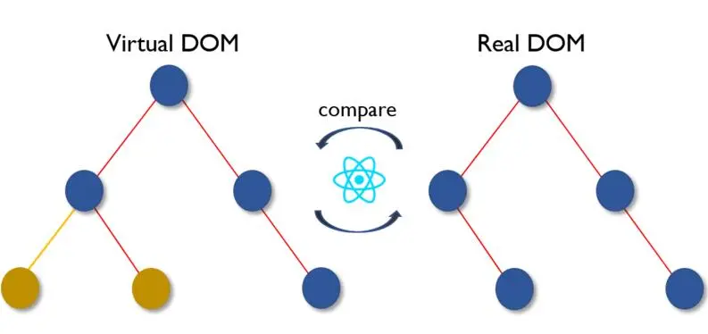 面试官最有可能问到的 50 个 React 面试题和答案