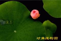 十三种摄影构图技法 教你拍出专业化照片