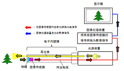 769c42cd80dc5d33c86ec3d6c4f26d63.png
