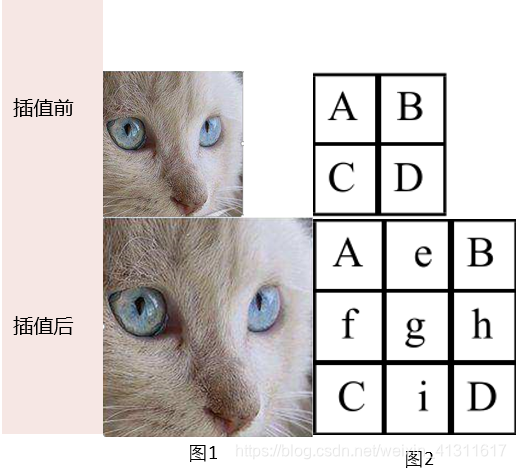 图像插值范例