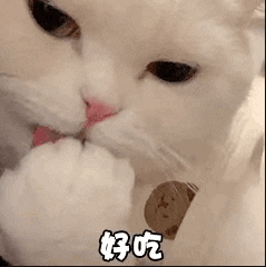 8c7c57dfef0ae0d5e6f712769f39b411.gif