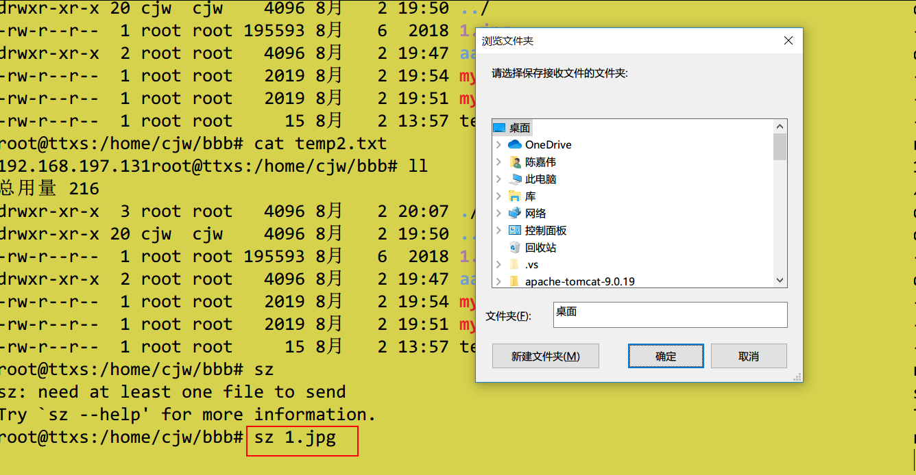 图片.png