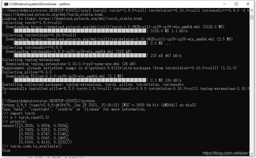 pip安装torch 1.9.0