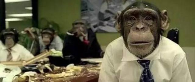 有一种程序员的痛叫：“你能帮我推荐一款电脑吗？”