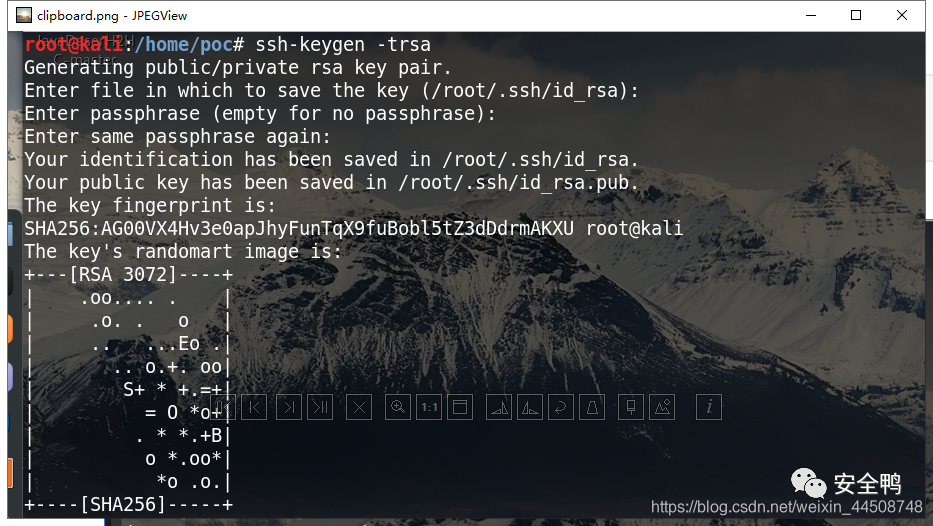 在这里插入图片描述