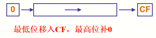 汇编指令(四)移位指令插图13 在这里插入图片描述