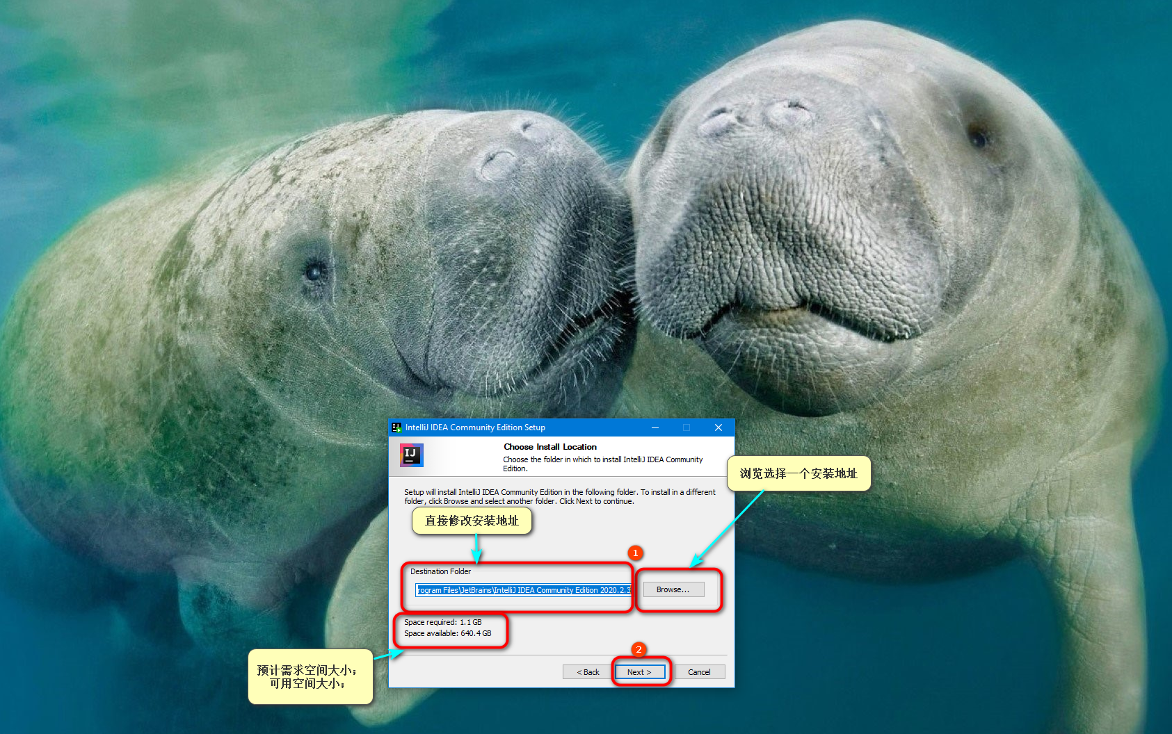 rundll32.exe下载，rundll32exe在哪里